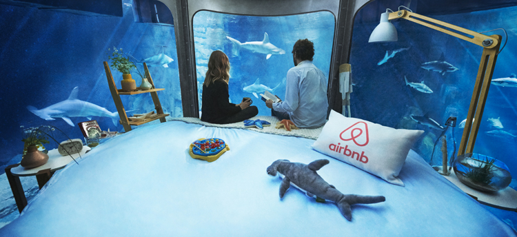A Night With The Sharks In Airbnb S Underwater Bedroom In