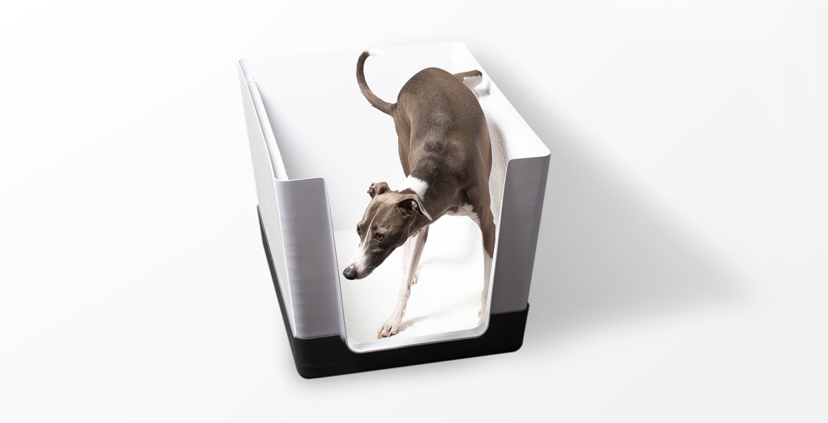 indoor pee post for male dogs