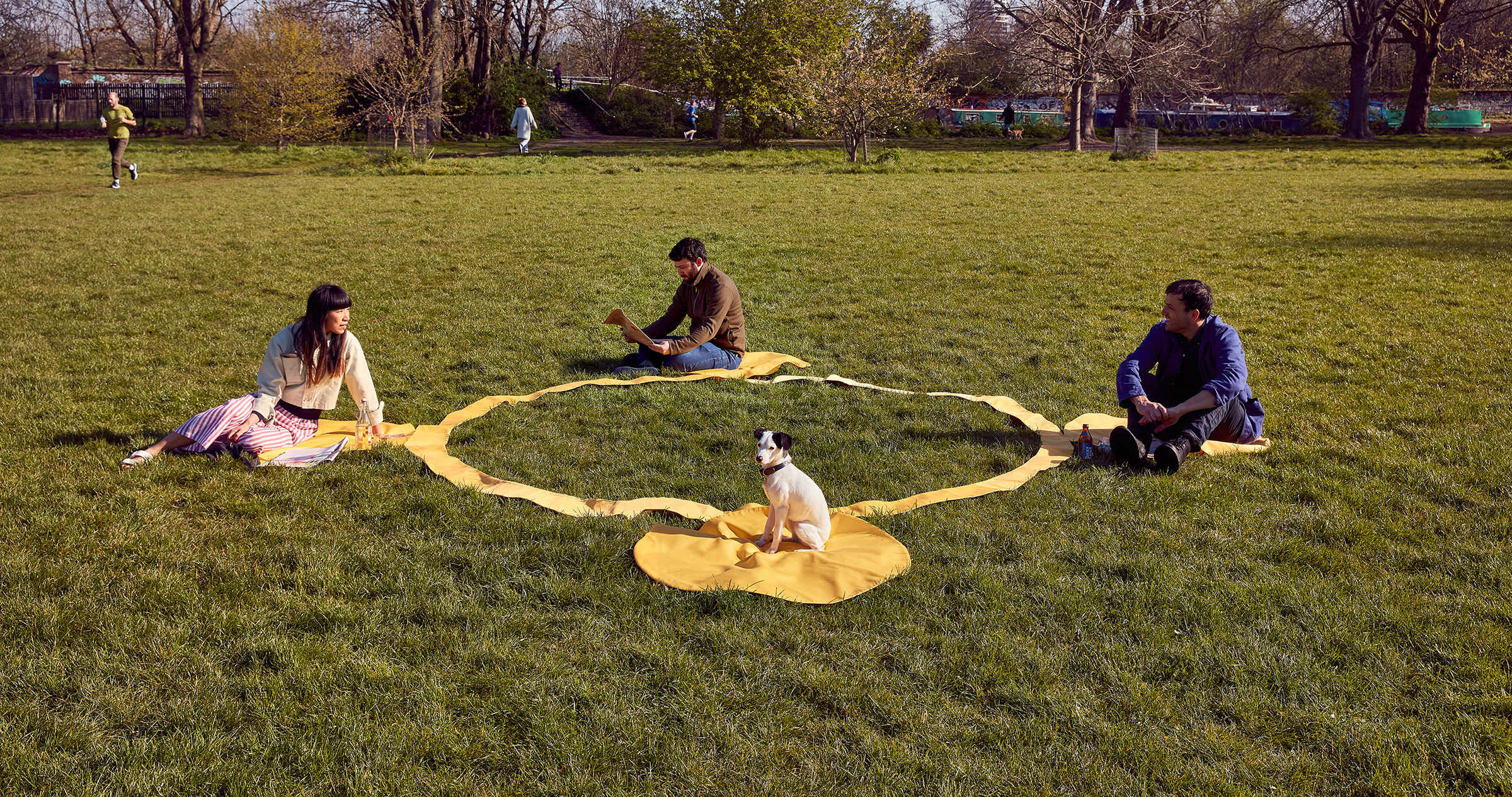 giant picnic rug