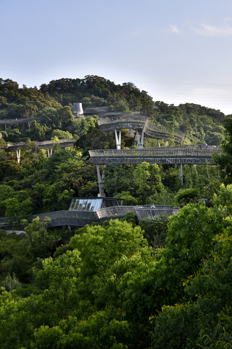 Fuzhou Forest Walkway by LOOK Architects