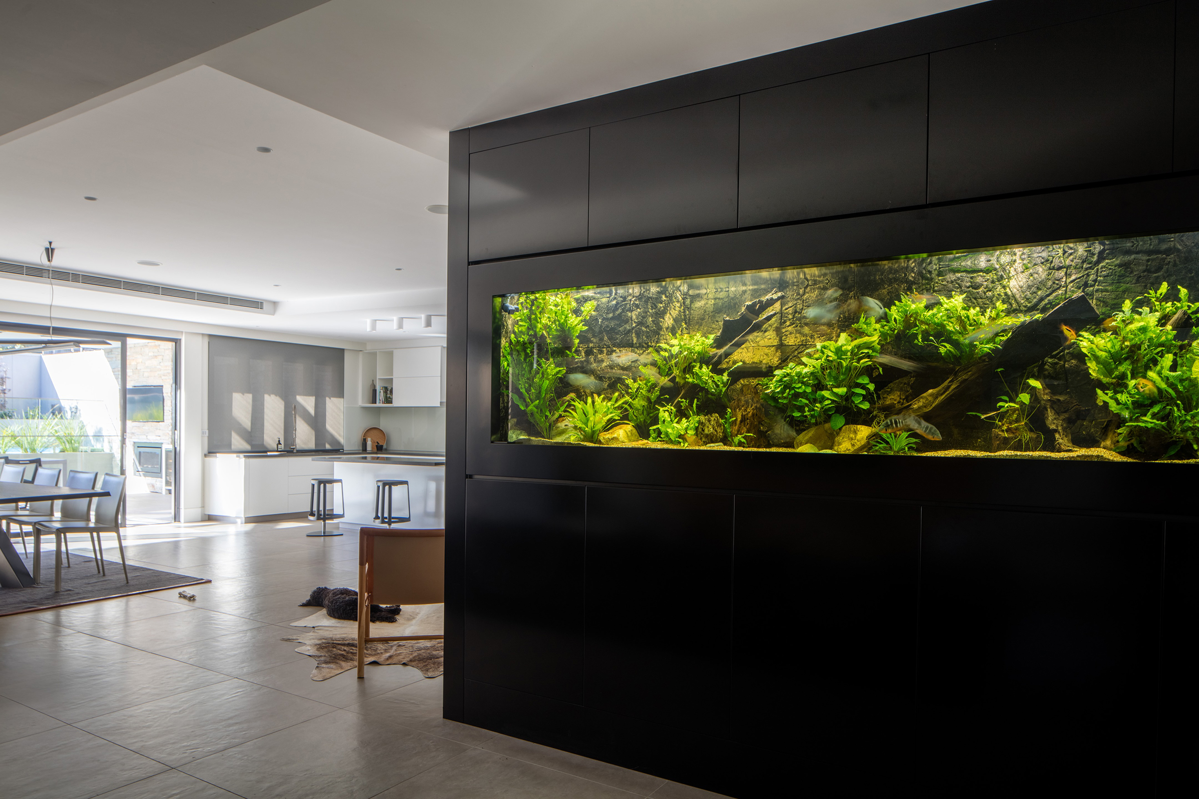 Five Reasons Having An Aquarium Improves Your Interior Design 1 
