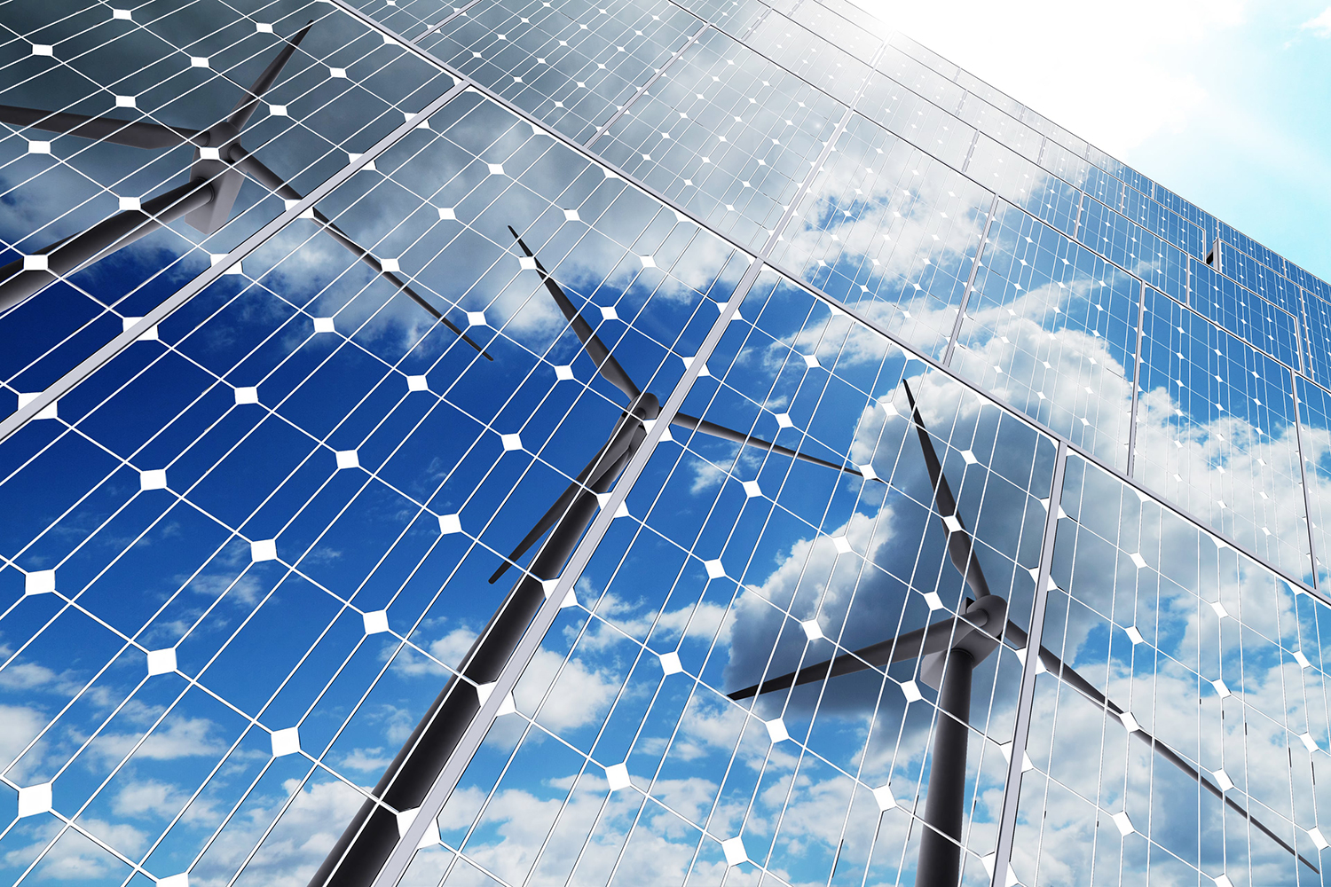 Learn How to Start a Renewable Energy Business