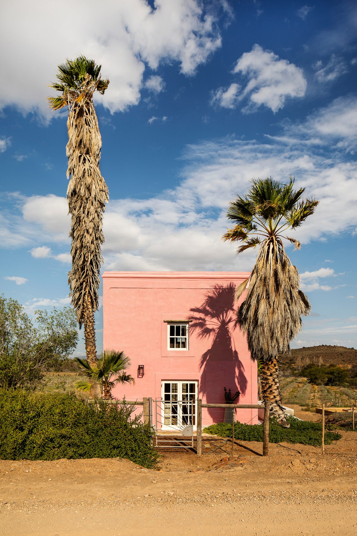 Buffelsdrift Farm, Ladismith, SA / SAOTA + Jaco Booyens Architect 