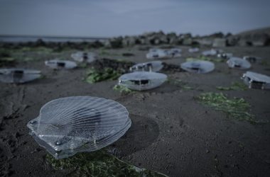 Marco Barotti's Kinetic Clam Sculptures Transform Aquatic Data into Dynamic Soundscapes