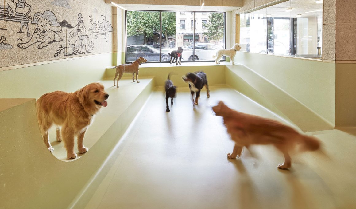 Step inside Dogtown NYC, a groundbreaking dog daycare designed by TUNA Architecture. Inspired by skate culture and built with canine well-being in mind, this West Village gem redefines urban dog care.