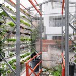 Alsar-Atelier: Hydroponic Module Cultivates Bogotá Community