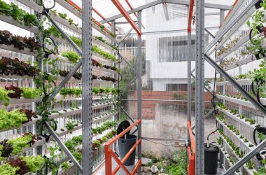 Alsar-Atelier: Hydroponic Module Cultivates Bogotá Community