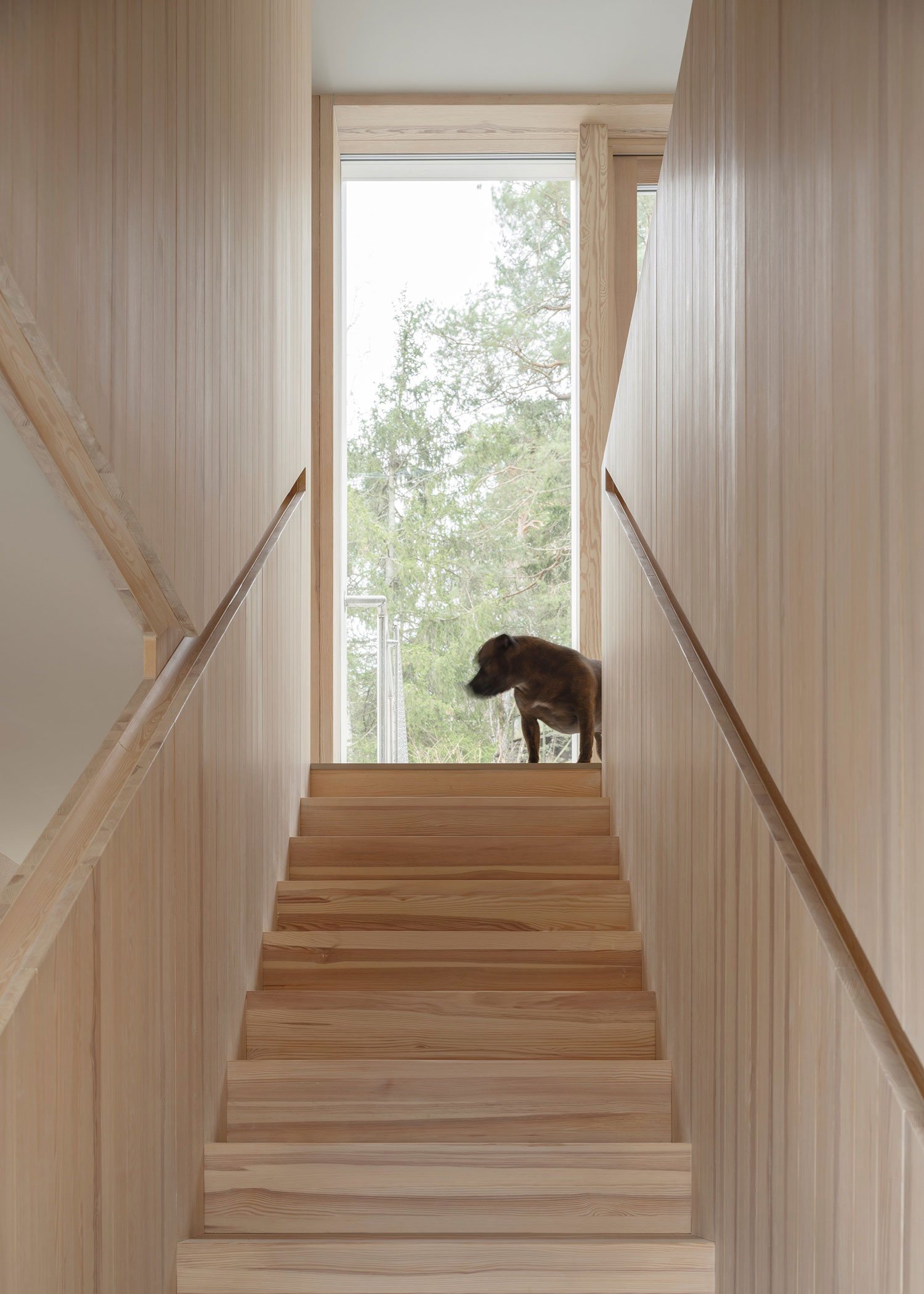 Ravine House Oslo: Sustainable Timber Design by Kolman Boye